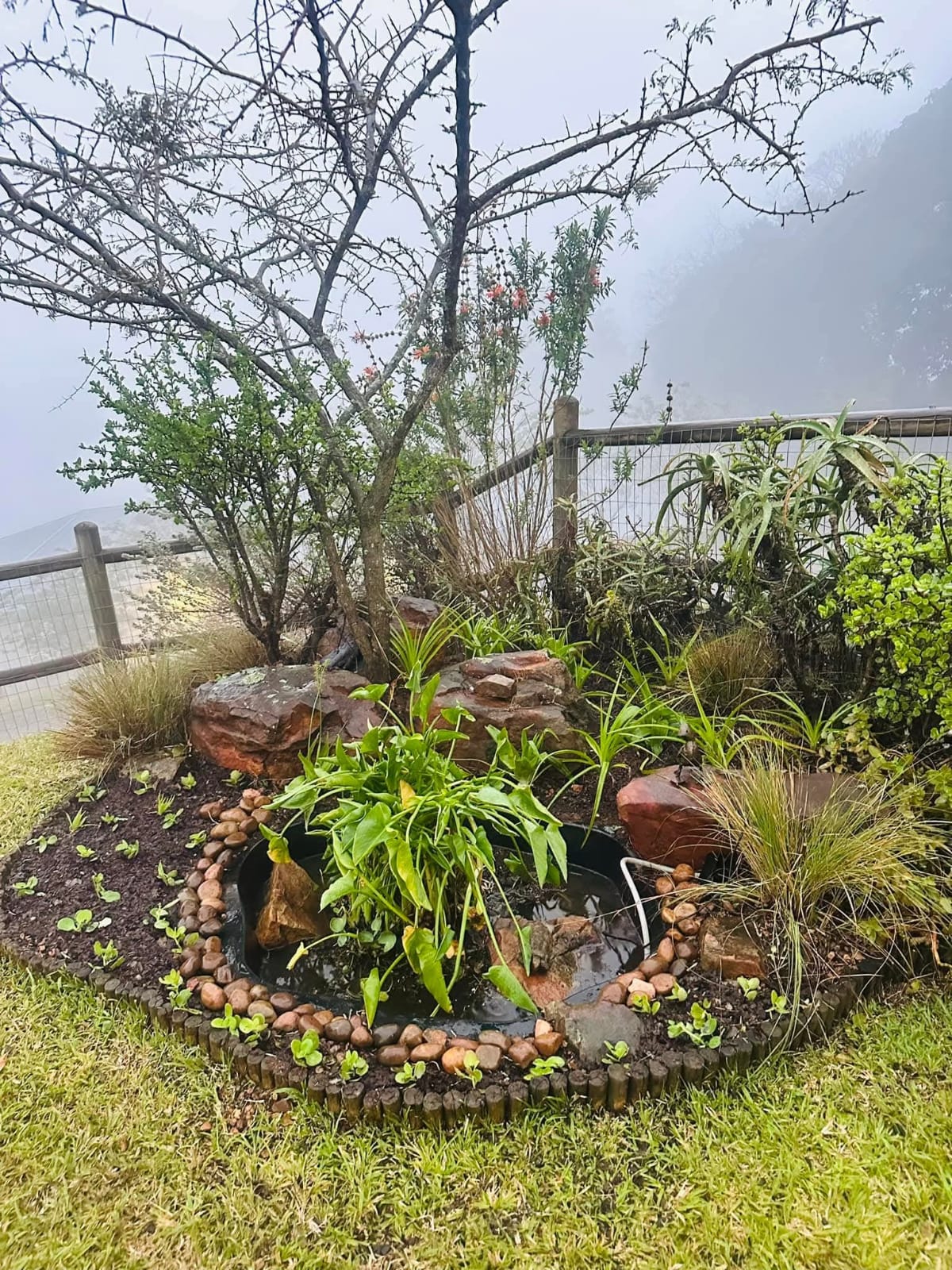 Landscaping project 4