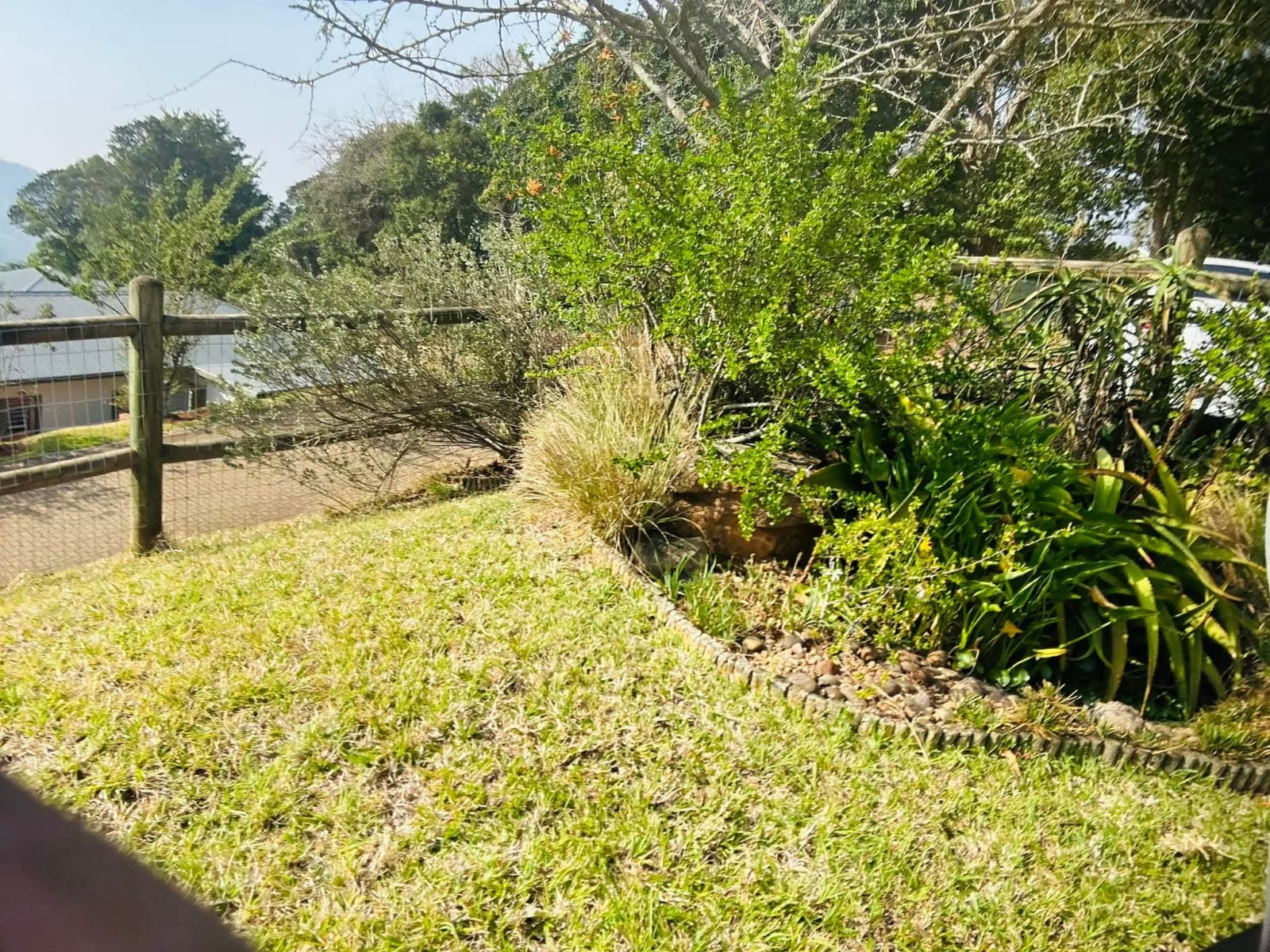 Landscaping project 5