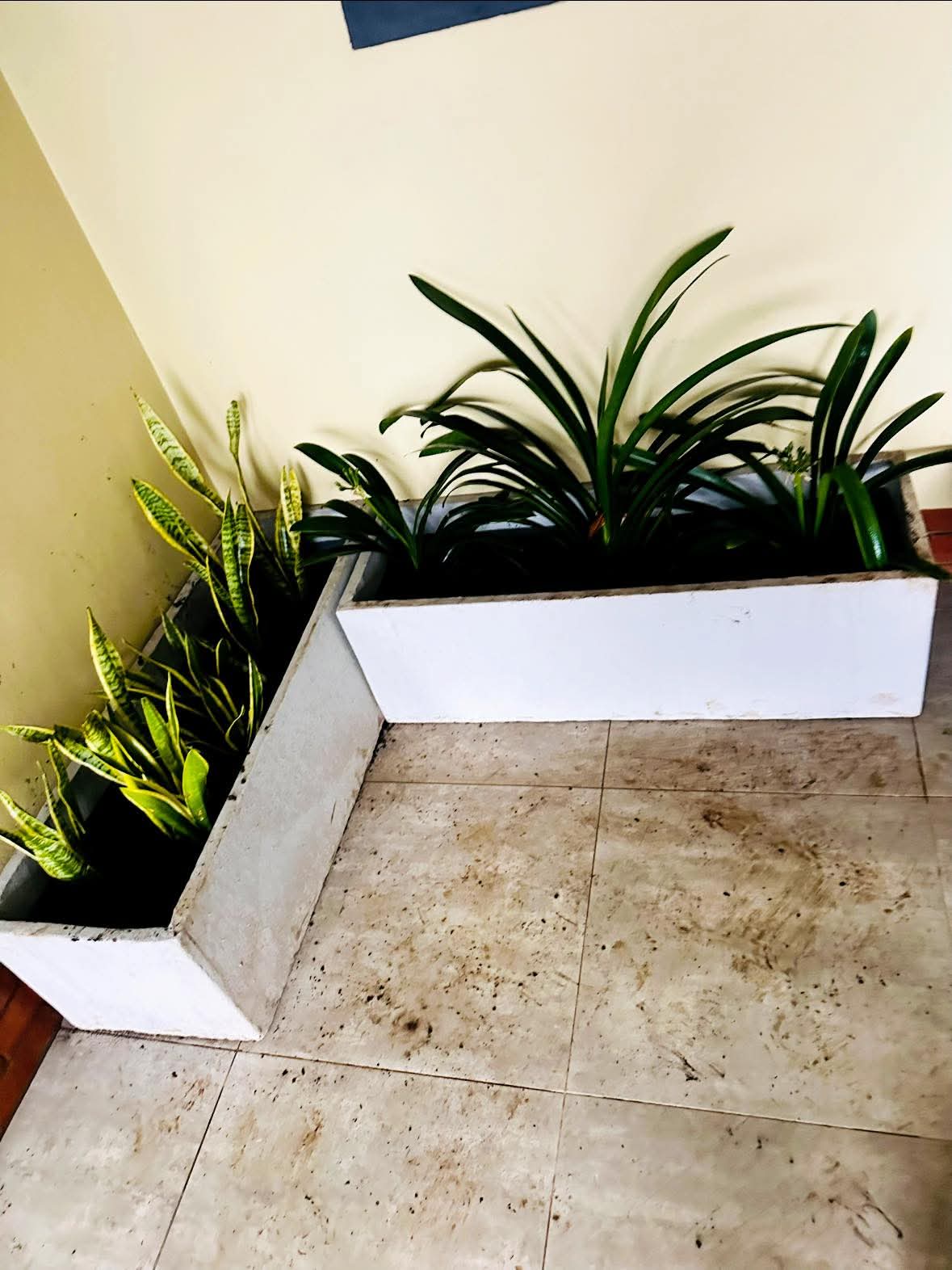 Landscaping project 11