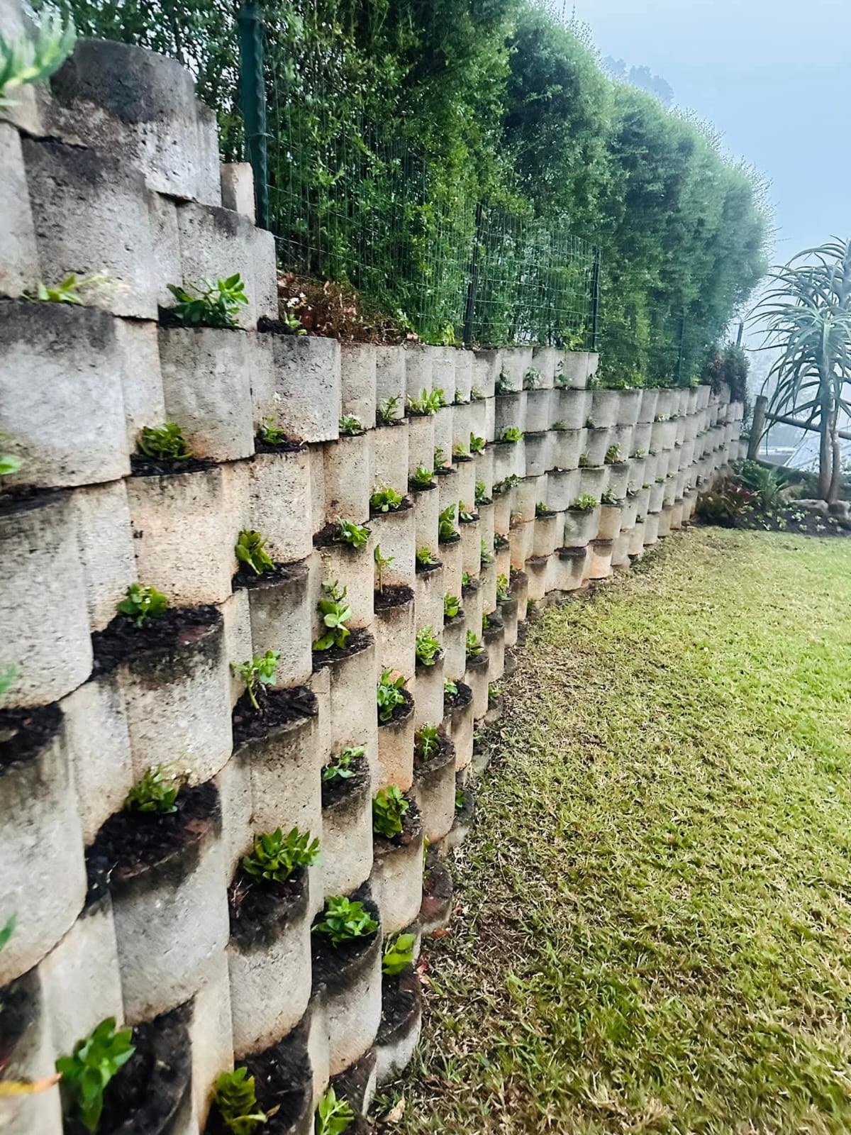 Landscaping project 14